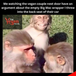 1732916227252.png