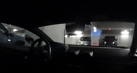 IMG_2321.jpeg