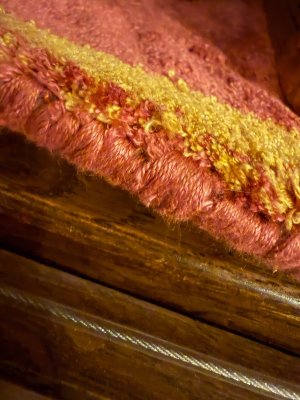 IMG_3704.jpeg IMG_3704.jpeg