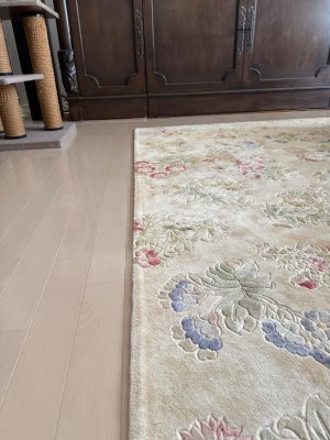 IMG_3870.jpeg IMG_3870.jpeg