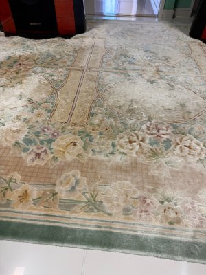 IMG_3869.jpeg IMG_3869.jpeg