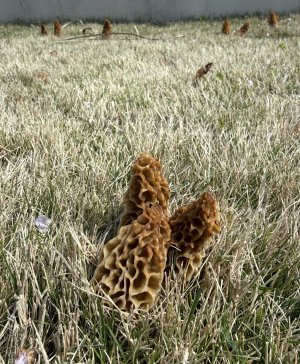 IMG_4422.jpeg IMG_4422.jpeg