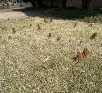 IMG_4421.jpeg IMG_4421.jpeg