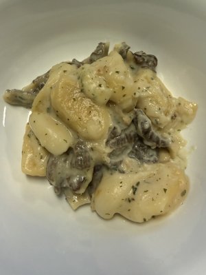 IMG_4419.jpeg IMG_4419.jpeg